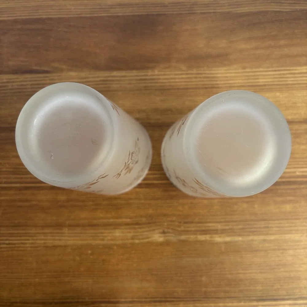 Set of 2 Frosted Floral Drinking Glasses Etched Flower Tumblers Vintage Style